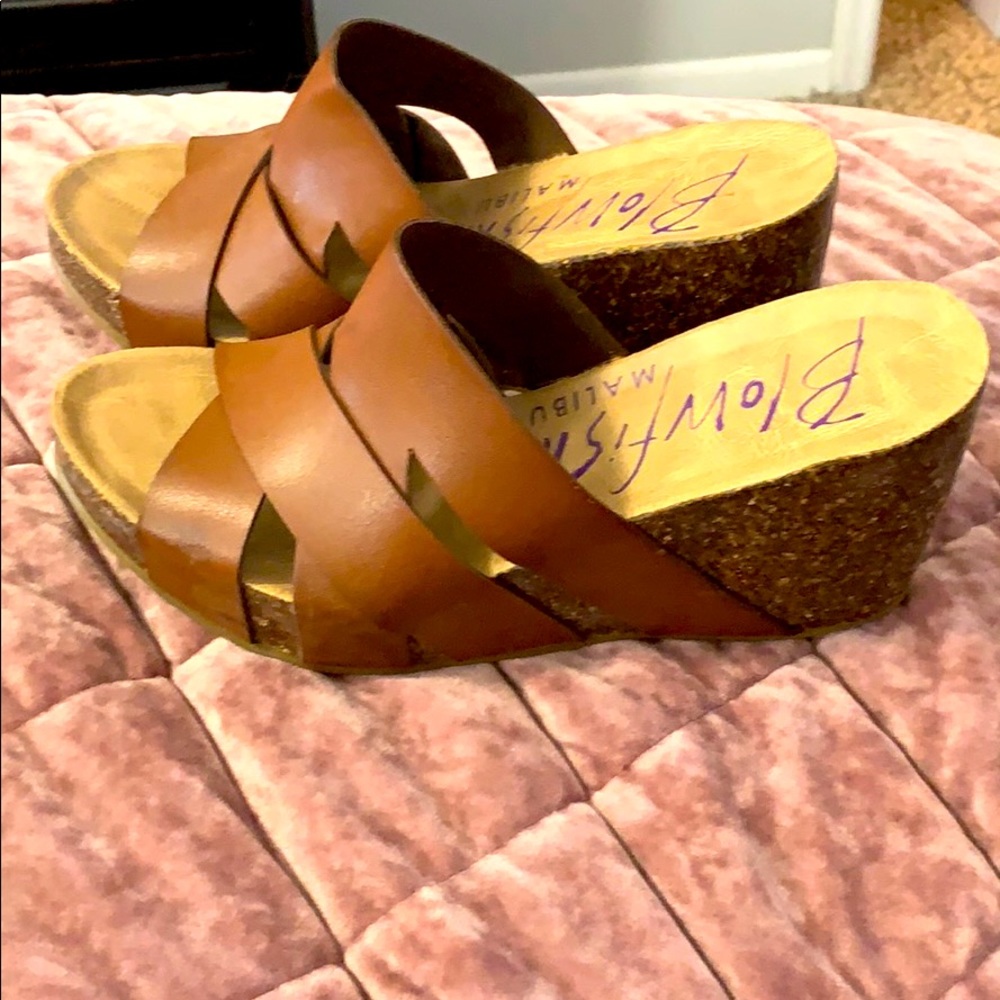 Blowfish wedges